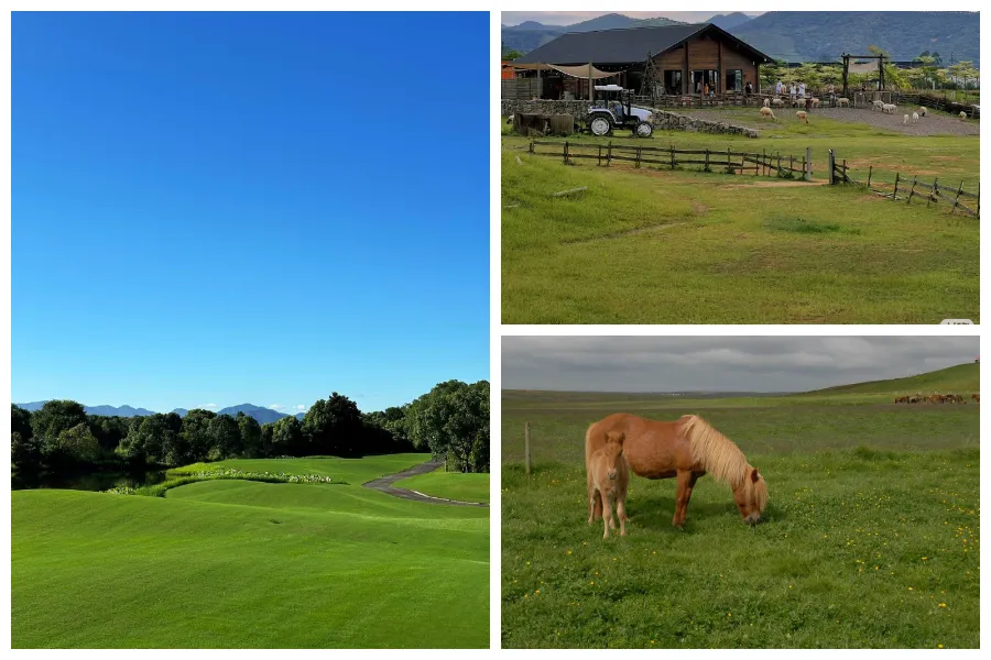 リモコン芝刈り機 500mm