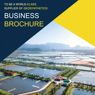 ビーマックスのパンフレット