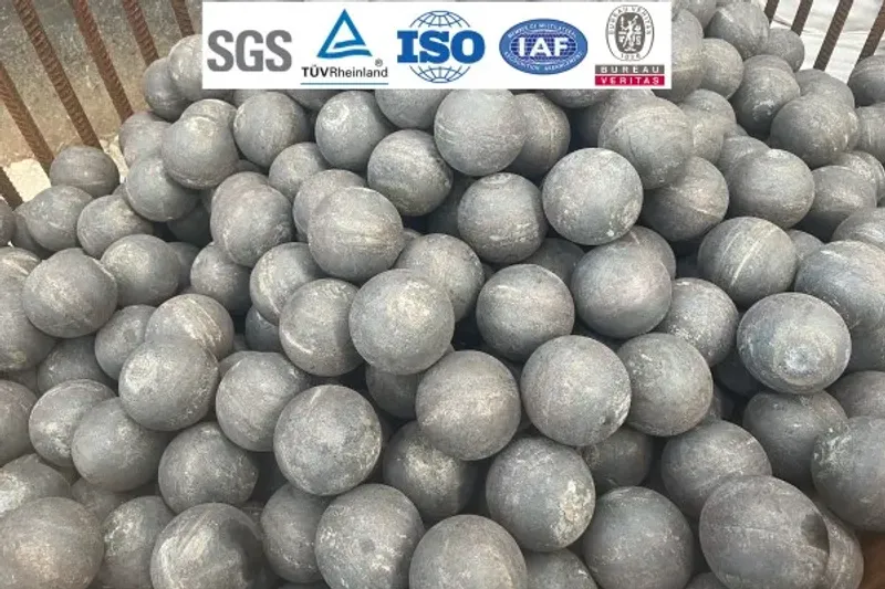 ラビットビーン